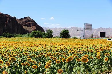 《明末：渊虚之羽》新截图 谁敢阻碍我的救赎